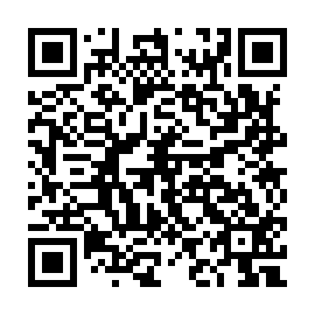 QR code for DIS913