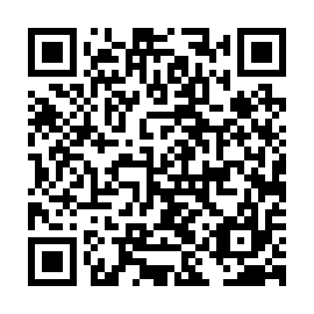 QR code for DIT 217