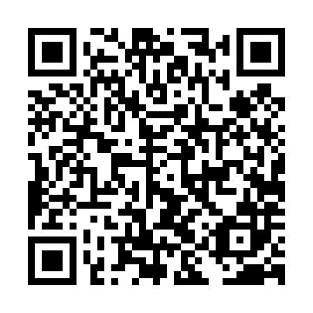 QR code for plate DIT 482