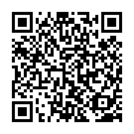 QR code for DIY 419