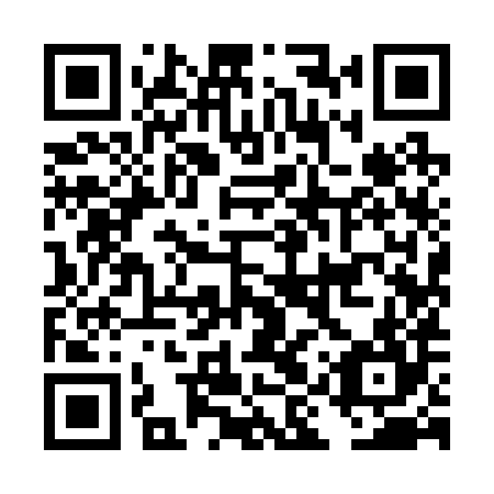 QR code for plate DIY 284