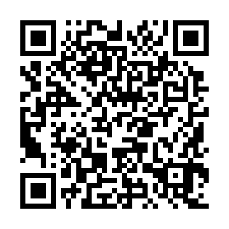 QR code for DIY382