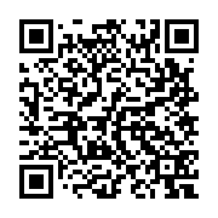 QR code for DIZ 172