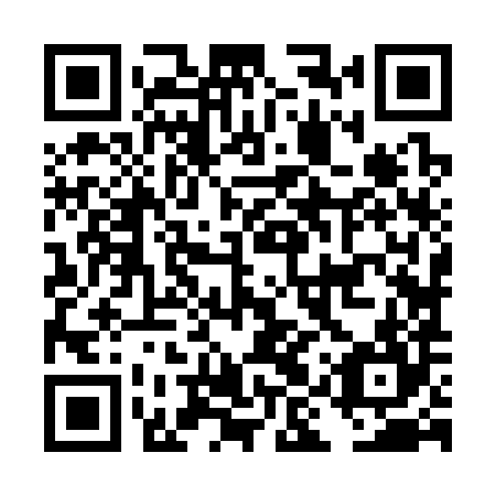 QR code for DIZ 384