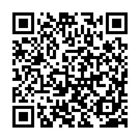 QR code for DIZ 390
