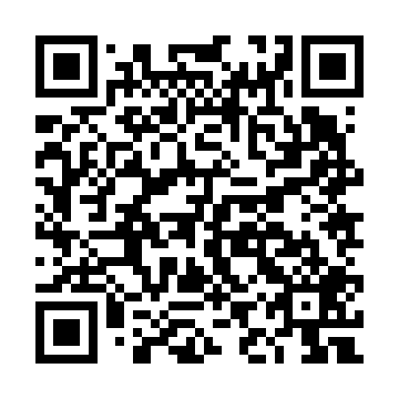 QR code for DIZ 609