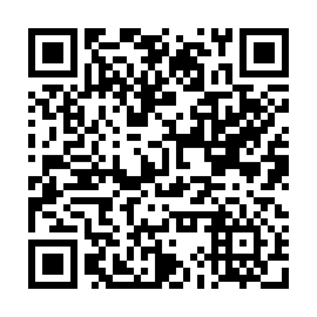 QR code for DIZ316