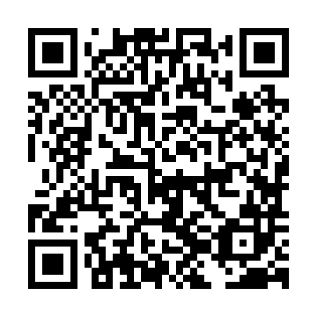 QR code for plate DJJ 282