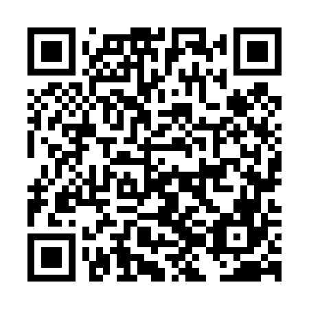 QR code for plate DJN 466