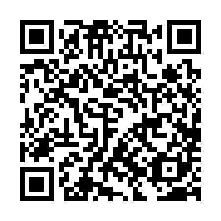 QR code for plate DJP 381