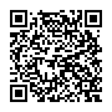 QR code for DJS313