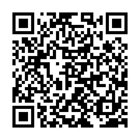QR code for plate DKD 133