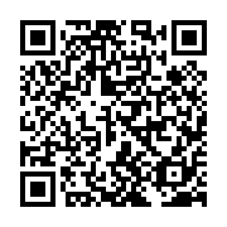 QR code for DKF 010