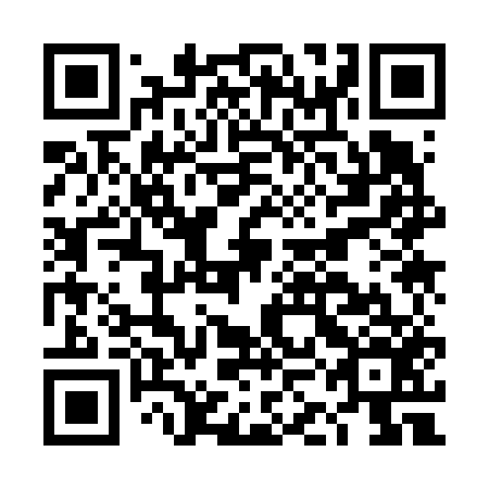 QR code for DKK 656
