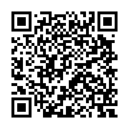 QR code for plate DKK 096