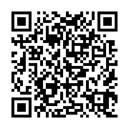 QR code for plate DKK 741