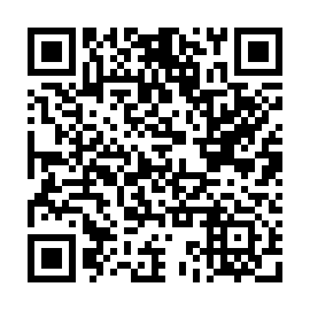 QR code for DKR 313