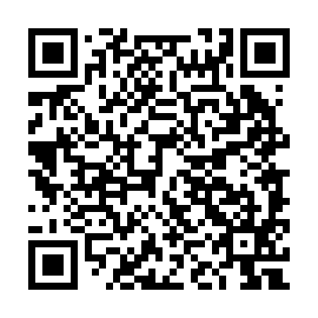 QR code for DKT 295