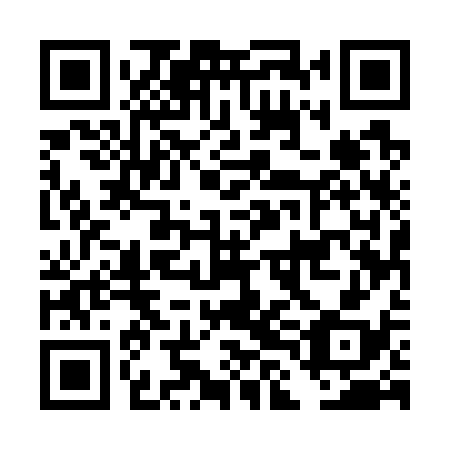 QR code for plate DLE 738