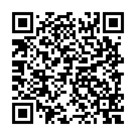 QR code for plate DLH 199