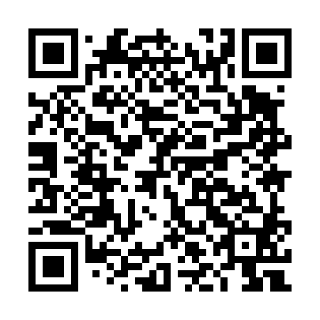 QR code for plate DLI 480