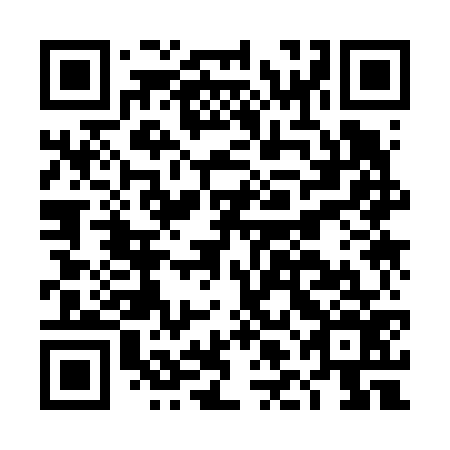 QR code for plate DLK 676