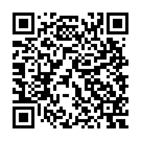 QR code for plate DLN 713
