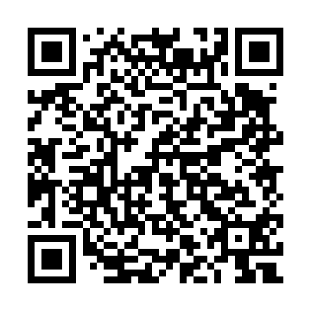 QR code for DLP410