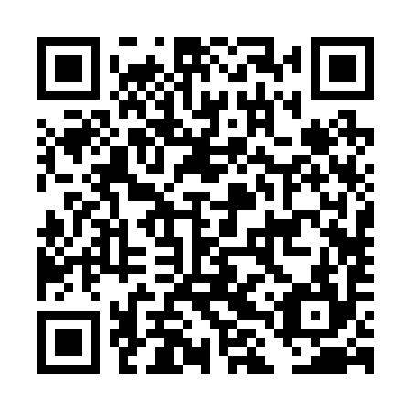 QR code for DLR294