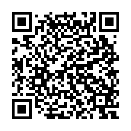 QR code for DLS383
