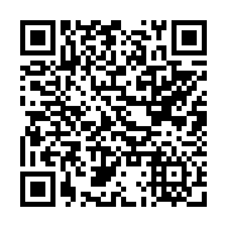 QR code for plate DLS 676
