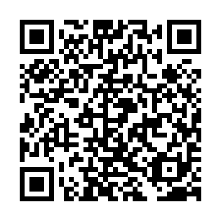 QR code for plate DLU 891
