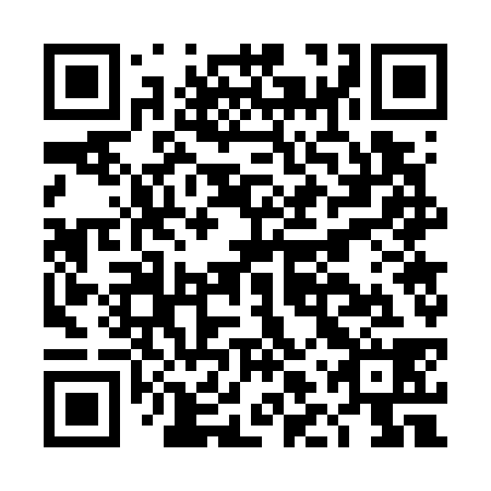 QR code for DLW 738