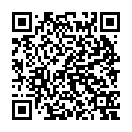 QR code for DLX 234