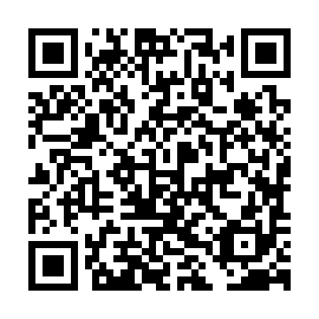QR code for DLZ 390