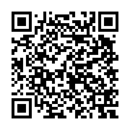 QR code for DLZ419