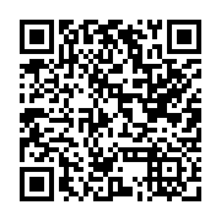 QR code for DMD 933