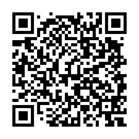 QR code for plate DMF 498