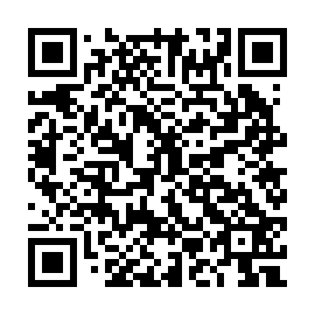 QR code for DMG 223