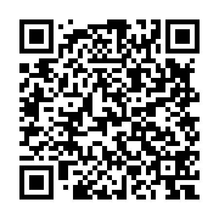 QR code for DMG 818