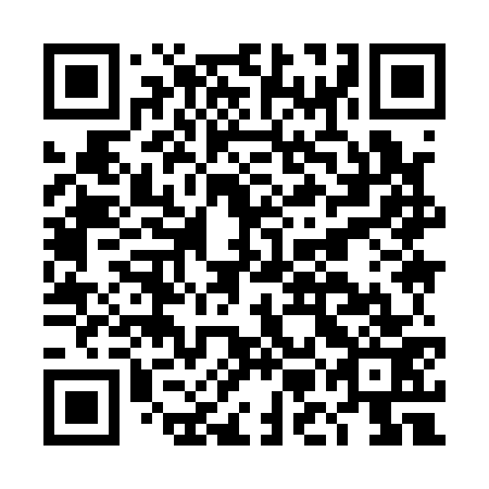 QR code for DMI 173