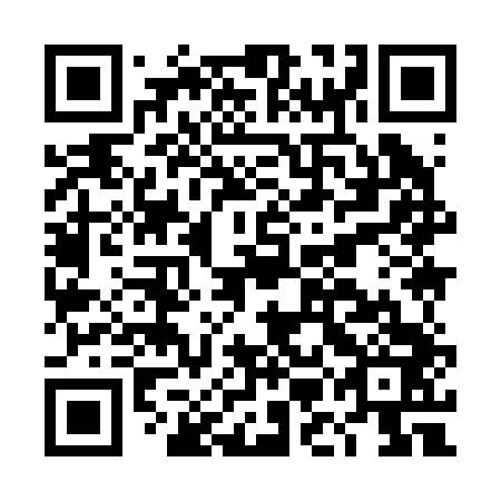 QR code for DMI243