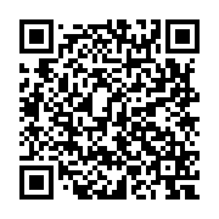 QR code for plate DMK 965