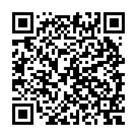 QR code for DMN 291