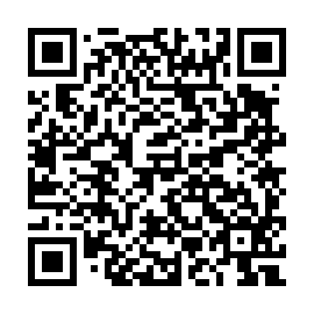 QR code for DMO496