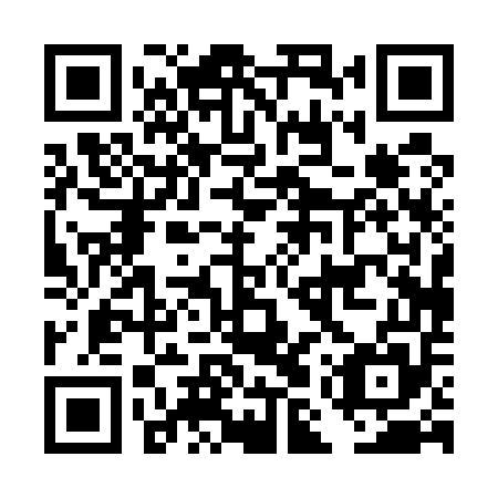 QR code for plate DMP 555