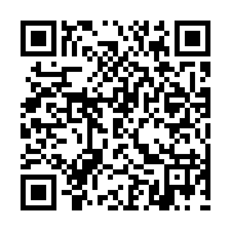 QR code for DMQ 597