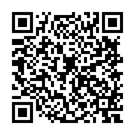 QR code for plate DMQ 881