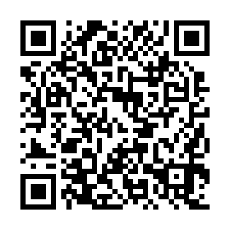 QR code for DMR 250