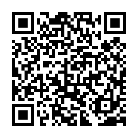 QR code for DMR 433